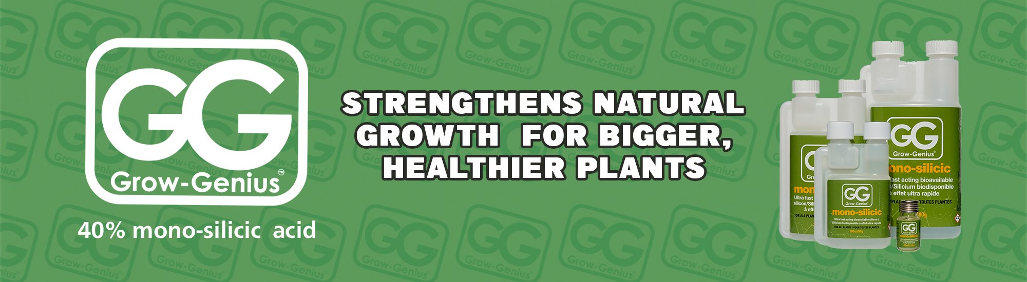 grow_genius_web banner_eng2